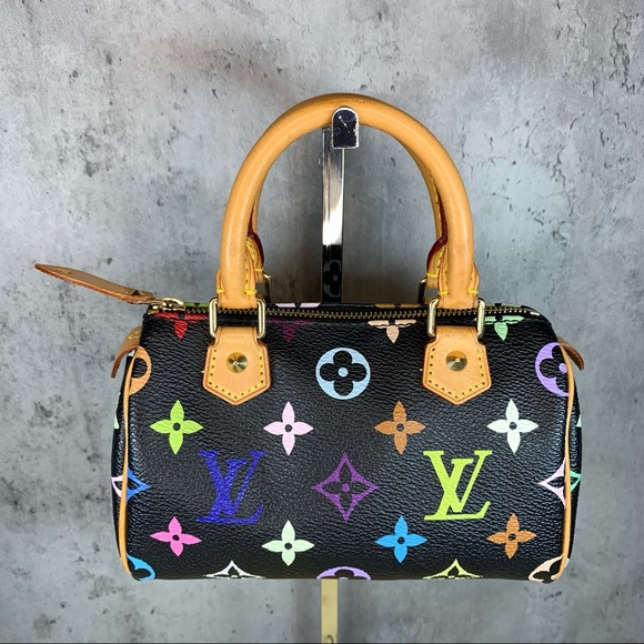 Louis Vuitton Handbags - ❌SOLD❌ Louis Vuitton Multicolor speedy Mini HL bag